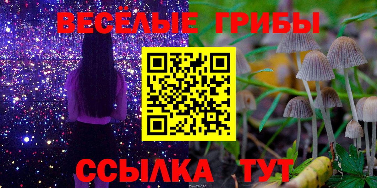 Псилоцибиновые грибы Psilocybe  хочу   Псилоцибиновые грибы GOLDEN TEACHER  Дмитров  Вход с VPN 